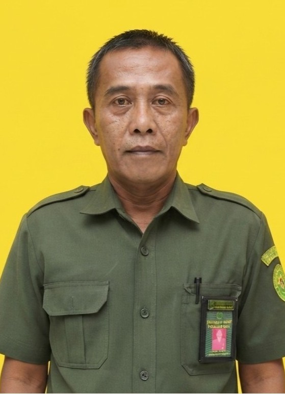 Zulpan.jpeg